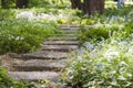 Stone path in a Park overgrown with flowers Royalty Free Stock Photo