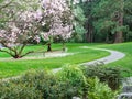 Stone path through park in spring Royalty Free Stock Photo