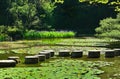 Stone path on the pond of Japanese garden, Kyoto Japan. Royalty Free Stock Photo