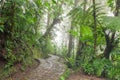 Stone path in rainforest Monteverde Costa Rica