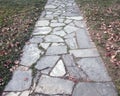 Stone path set in leaf strewn lawn