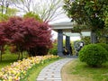 Stone path at Shanghai flower port