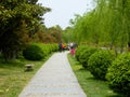 Stone path at Shanghai flower port