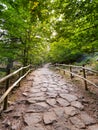 Stone path surrounded by green trees in Laguna Negra Natural Park, Soria, Spain Royalty Free Stock Photo