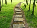 Stone path with trees