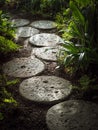 Stone Path Tropical Garden Landscape decoration Royalty Free Stock Photo