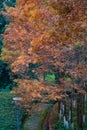 A stone path under golden leaves after rain in autumn Royalty Free Stock Photo