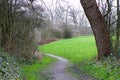 Stone Path Walk Way with Trees at the side in A Forest Royalty Free Stock Photo