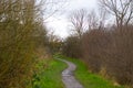 Stone Path Walk Way with Trees at the side in A Forest Royalty Free Stock Photo