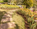 Stone path winding in fresh spring flower garden