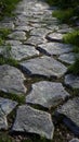 Stone Path Winds Through Grassy Landscape, Serene Garden Walkway Royalty Free Stock Photo