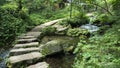 Stone paths and streams