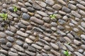 Stone Pathway Royalty Free Stock Photo