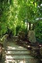 Stone pathway Royalty Free Stock Photo