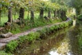 Stone pathway along river in forest. Fairy wood background. Serpentine trail with stone pillars. Green trees arches in forest.