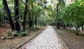 Stone pathway at the city park Royalty Free Stock Photo