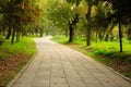 Stone pathway at Confucius Family Cemetery Royalty Free Stock Photo