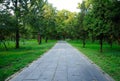 Stone pathway at Confucius Family Cemetery