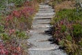 Stone pathway in the countryside Royalty Free Stock Photo