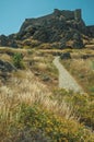 Stone pathway covered by dry bushes near Monsanto