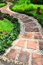 Stone Pathway in a garden Royalty Free Stock Photo