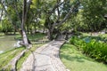 Stone pathway in the garden. Royalty Free Stock Photo