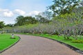 Stone pathway in a green park Royalty Free Stock Photo