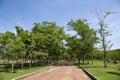 Stone Pathway in the Green Park Royalty Free Stock Photo