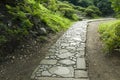 Stone pathway Royalty Free Stock Photo