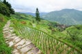 Stone pathway in longshen rice terraces