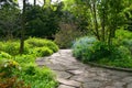 Stone pathway in lucious garden Royalty Free Stock Photo