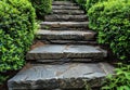 Stone pathway in a lush green garden Royalty Free Stock Photo