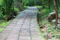 Stone pathway passing thru the Waterfall Royalty Free Stock Photo