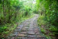 Stone pathway passing thru the Waterfall