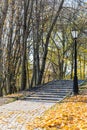 Stone pathway, stairs with lantern and yellow fallen leaves