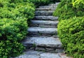 Stone pathway winding through a lush green garden Royalty Free Stock Photo