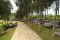 Stone pathway and a wooden bench in a park under green trees