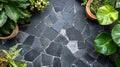 Stone Patio Decorated With Lush Green Plants Royalty Free Stock Photo