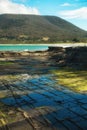 Stone pattern at tessellated pavement in Tasmania