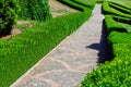 Stone patterned path, planted hedge from boxwood. Royalty Free Stock Photo