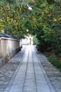 A stone paved alley path with a calm atmosphere.