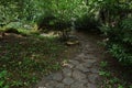 Stone paved path in park during spring season, hidden in shade of decorative shrubs and trees Royalty Free Stock Photo