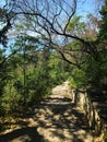 a stone-paved path among the trees in the city park. Bulgaria. Balchik. Royalty Free Stock Photo