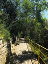 a stone-paved path among the trees in the city park. Bulgaria. Balchik. Royalty Free Stock Photo