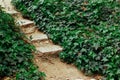 Stone paved pathway path among lush fresh green vegetation, grasses, leaves goes into a distance in a botanical garden Royalty Free Stock Photo