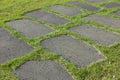 Stone paved road with grass