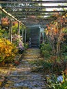 Stone paved timer built small garden gallery with afternoon light and autumn coloured plants