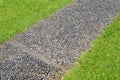 Stone paved walkway with green grass