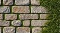 Stone pavement with grass filling the gaps creating a decorative pattern Royalty Free Stock Photo