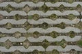 Stone pavement pattern with grass, moss and rocks inbetween